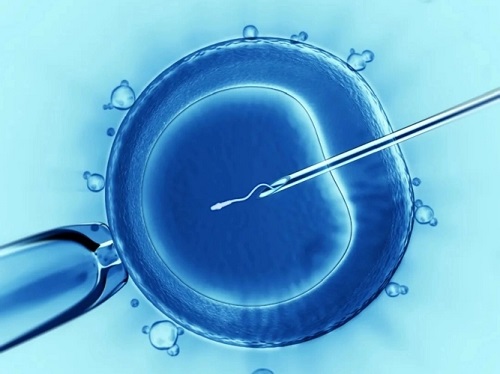 试管婴儿精卵相互结合过程需要多长时间？